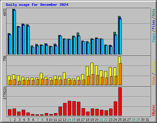 Daily usage for December 2024