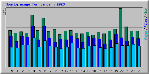 Hourly usage for January 2023