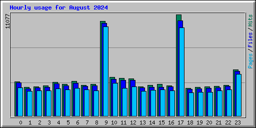 Hourly usage for August 2024