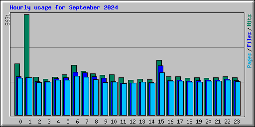 Hourly usage for September 2024