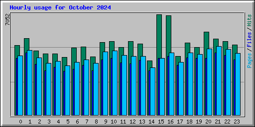 Hourly usage for October 2024