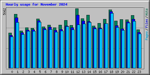 Hourly usage for November 2024