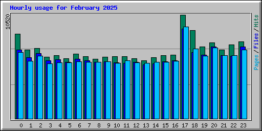 Hourly usage for February 2025