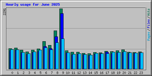 Hourly usage for June 2025