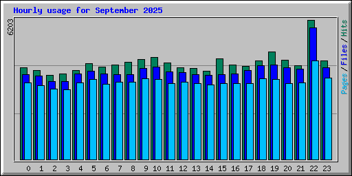 Hourly usage for September 2025