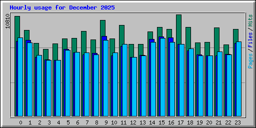 Hourly usage for December 2025