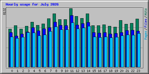 Hourly usage for July 2026